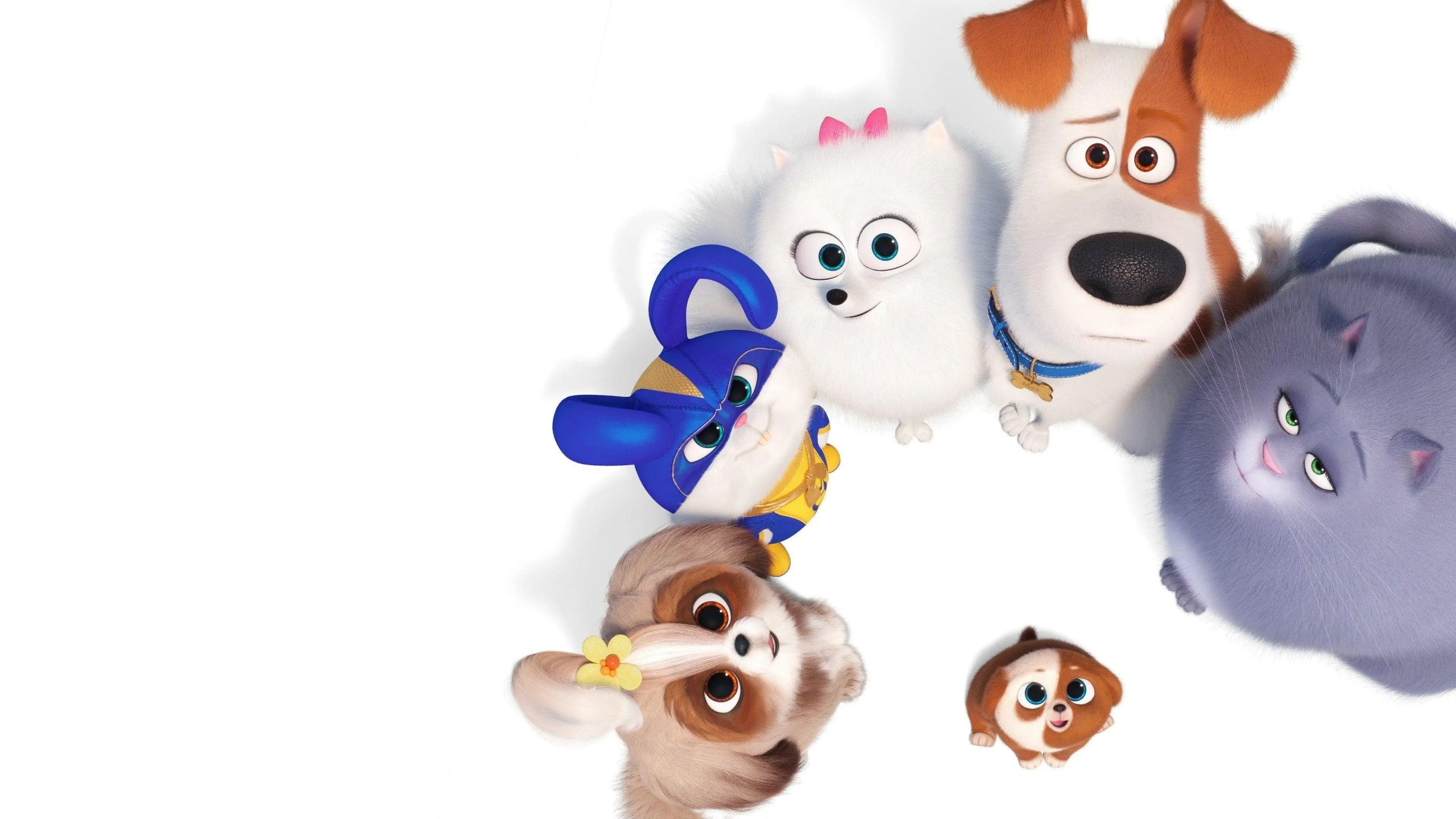 The Secret Life of Pets รีวิวหนัง